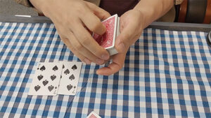 바이시클 특수카드 (로노 바이시클) 활용 마술 해법 (두장의 마술사카드)